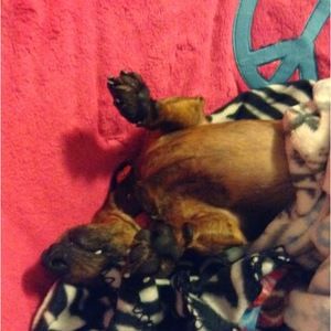 Meet your Posher, Marleigh